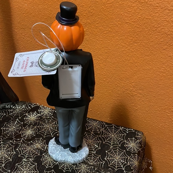 Crimson pumpkin gentleman - Picture 6 of 7